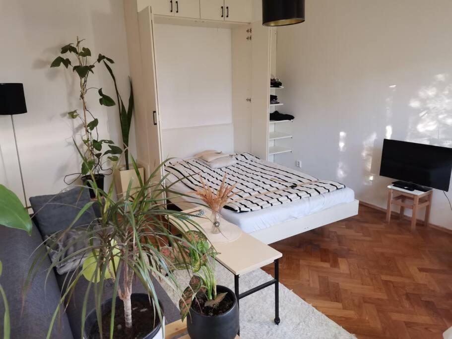 Cozy Studio In The City Centre Near Train Station Bratislava Exterior photo